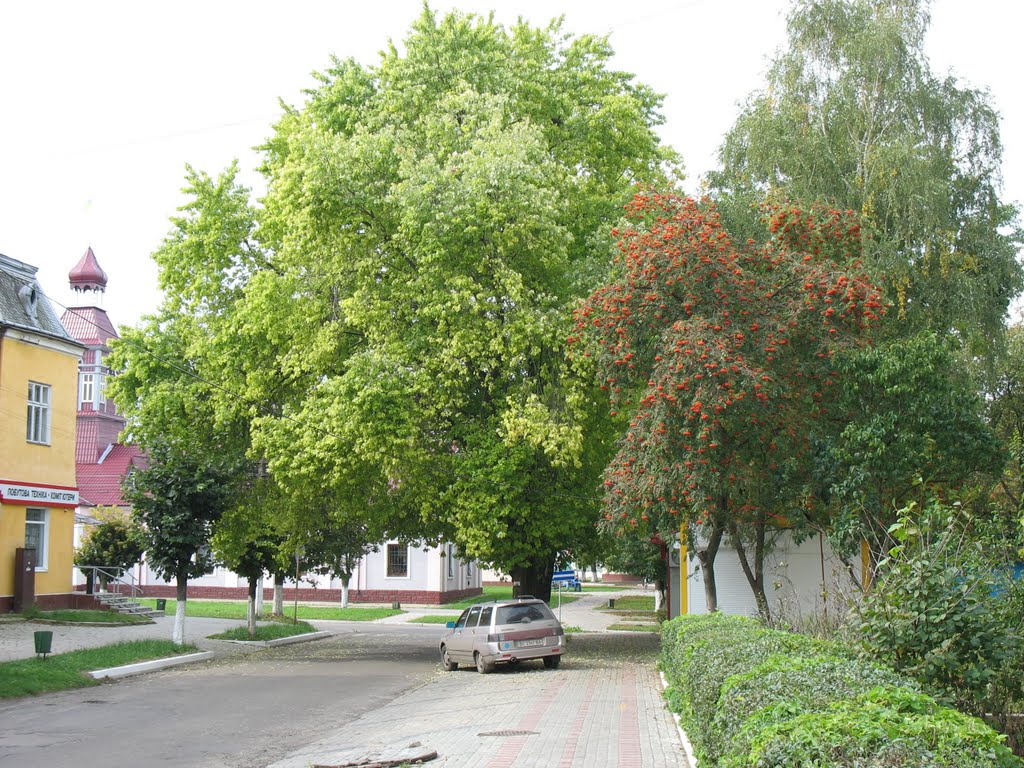 вул.Мицкевича (Сокаль, Україна), Сокаль