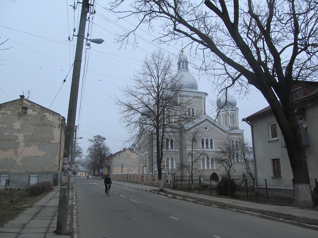 grey houses, grey church, Стрый