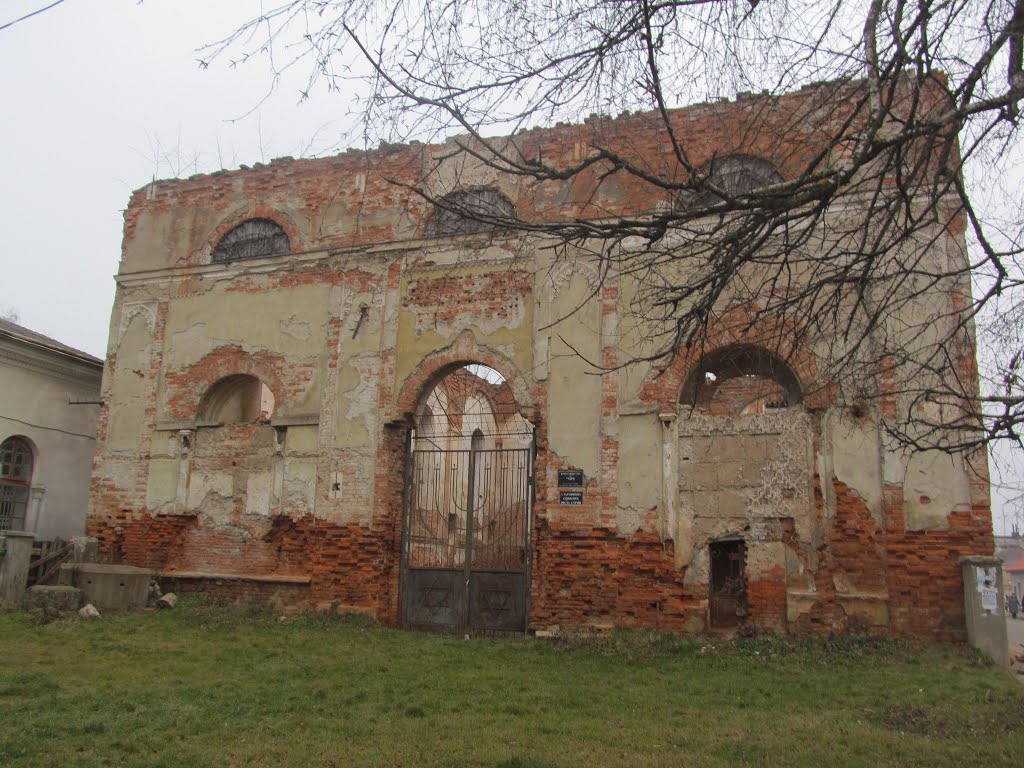 синагога (1817) у повний розмір, Стрый