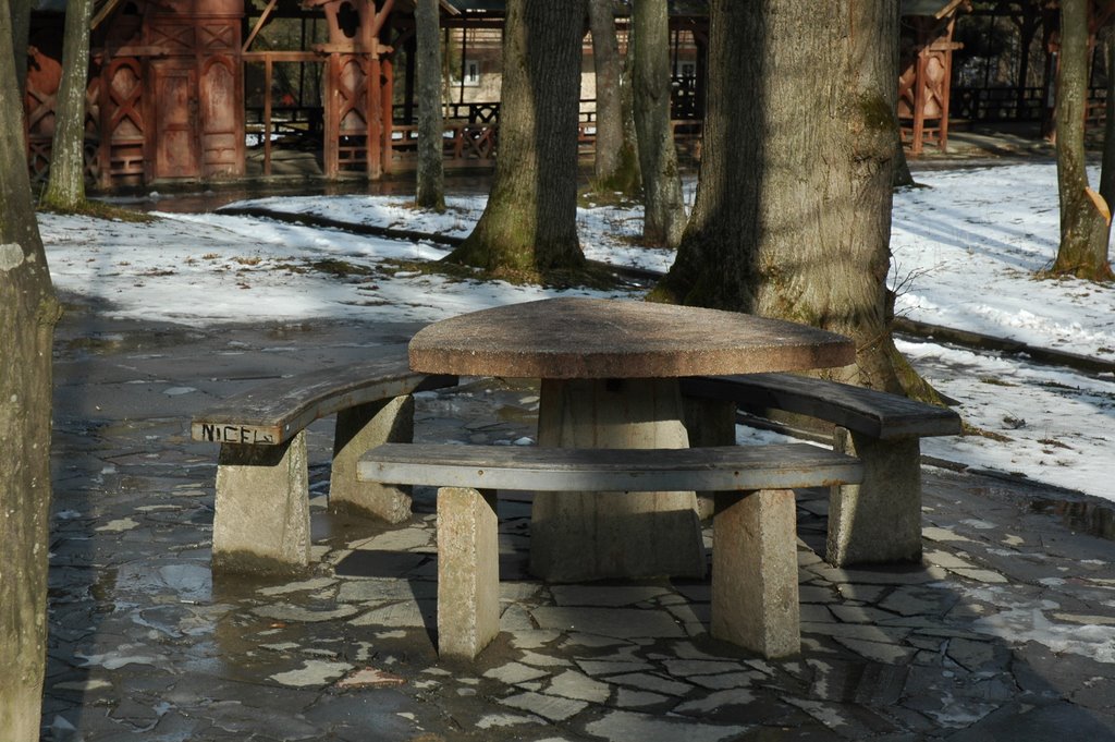 Лавочки и стол в парке. Benches and a table in the park., Трускавец