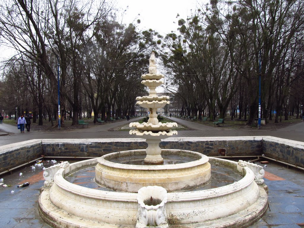 фонтан у центрі парку, в центрі міста .., Червоноград