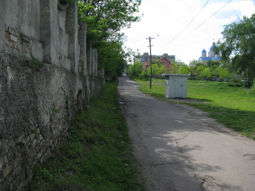 Вуличка біля палацу, Червоноград