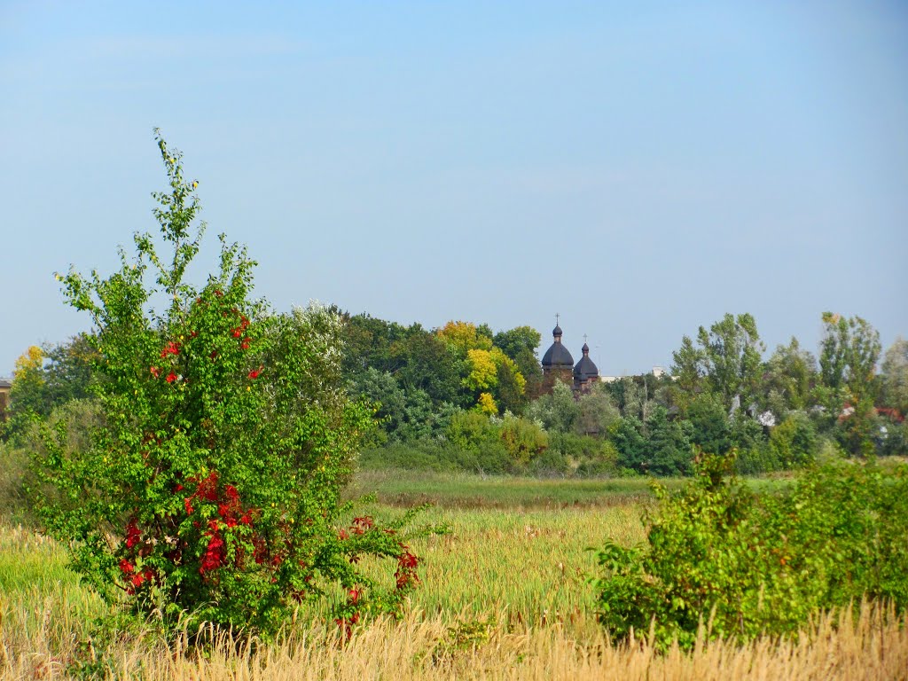 Вид на город Червоноград от резиденции Потоцких., Червоноград