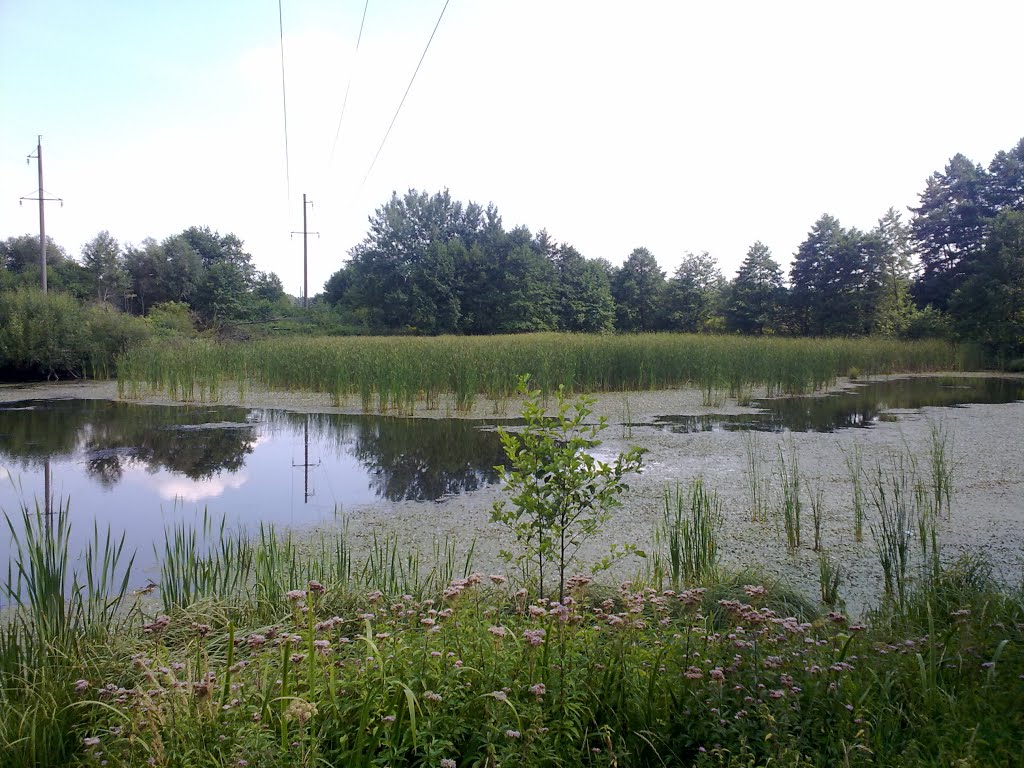 A Lake, Яворов