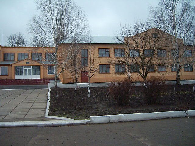 Березнеговатская средняя школа, Березнеговатое