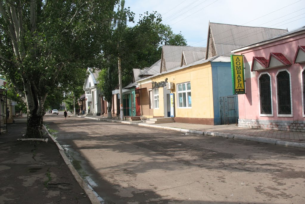 Пішохідна вулиця, Березнеговатое
