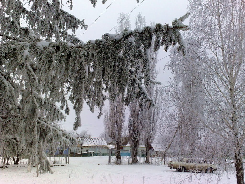 Зима, Братское