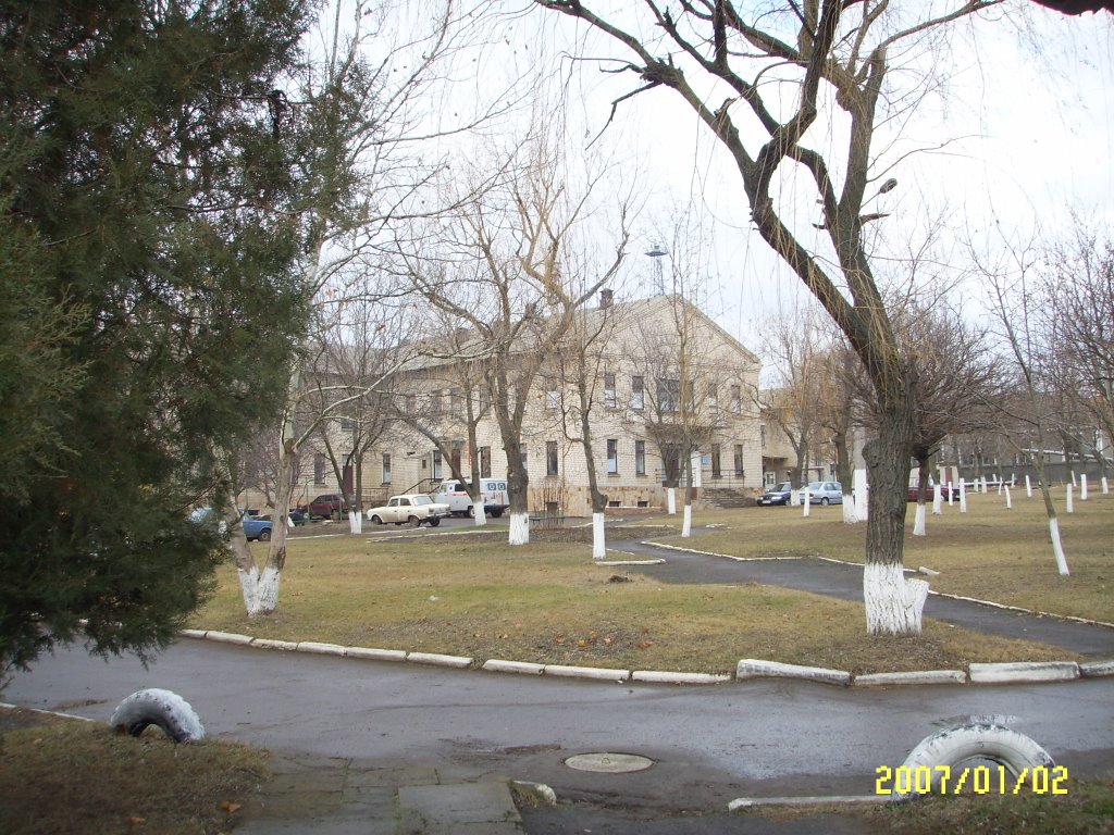 больница, Веселиново