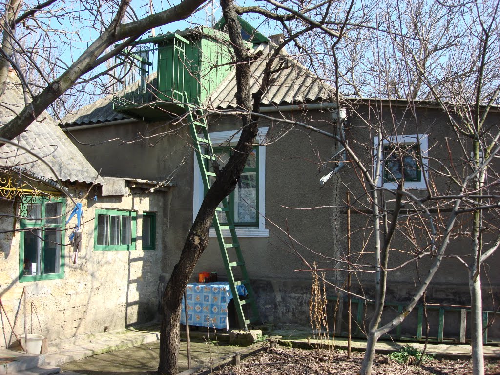 Дом в Веселиново, Веселиново