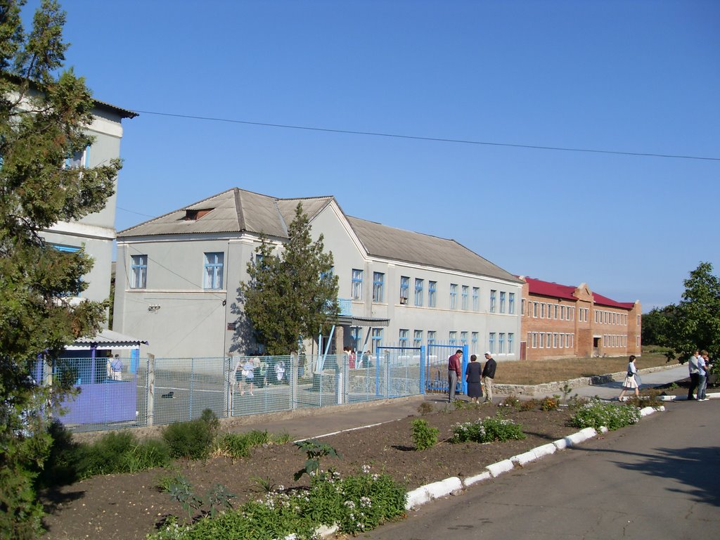 Доманёвская школа №1, Доманевка