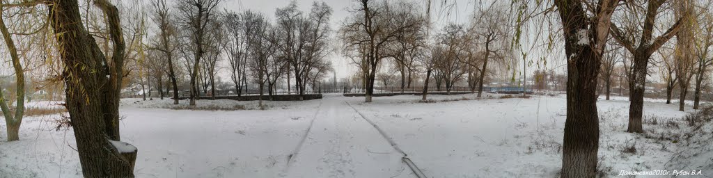 Доманевка. Зима. панорама., Доманевка