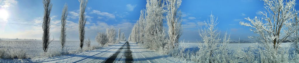 Дорога. панорама., Доманевка