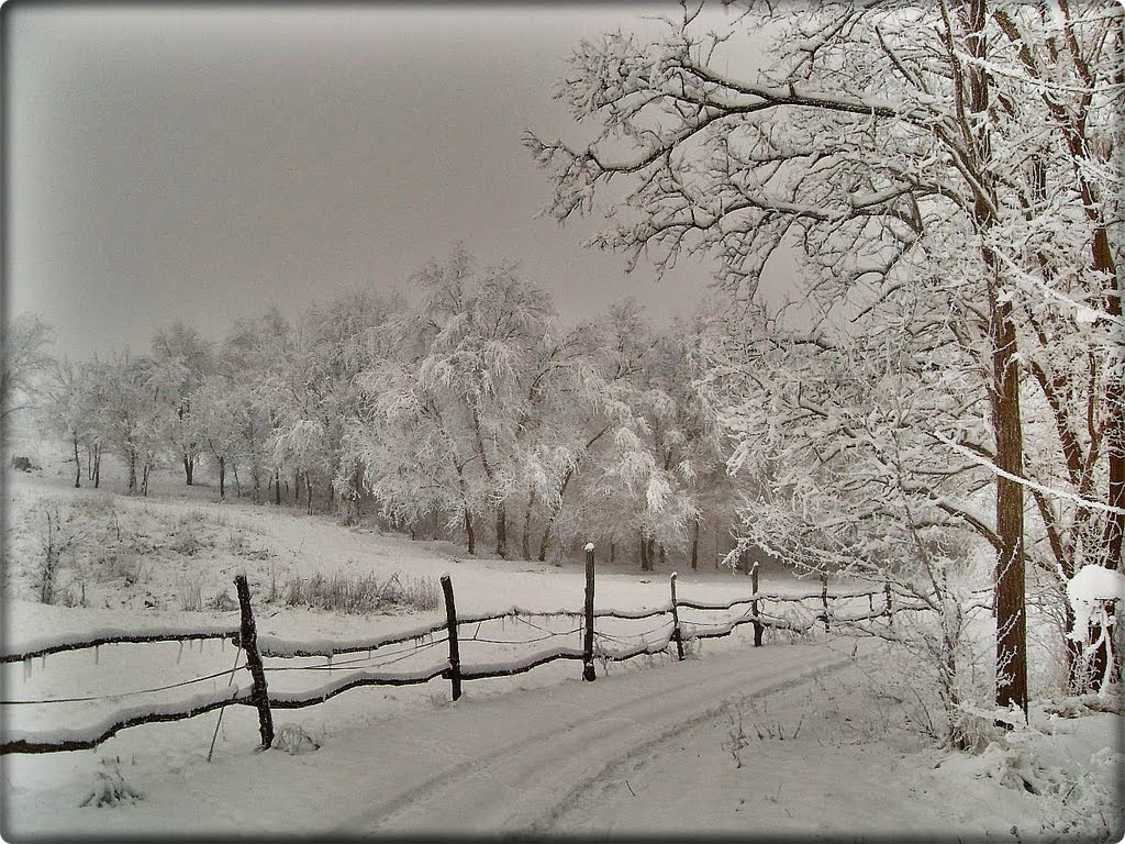 Зима. пейзаж., Доманевка