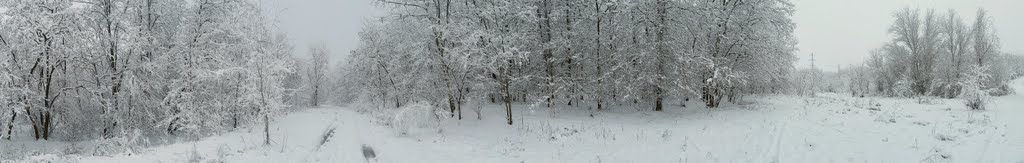 Зима. панорама 1., Доманевка