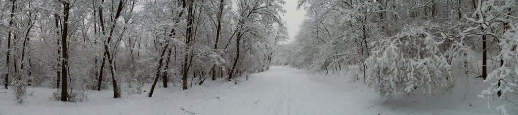 Зима. панорама 2., Доманевка