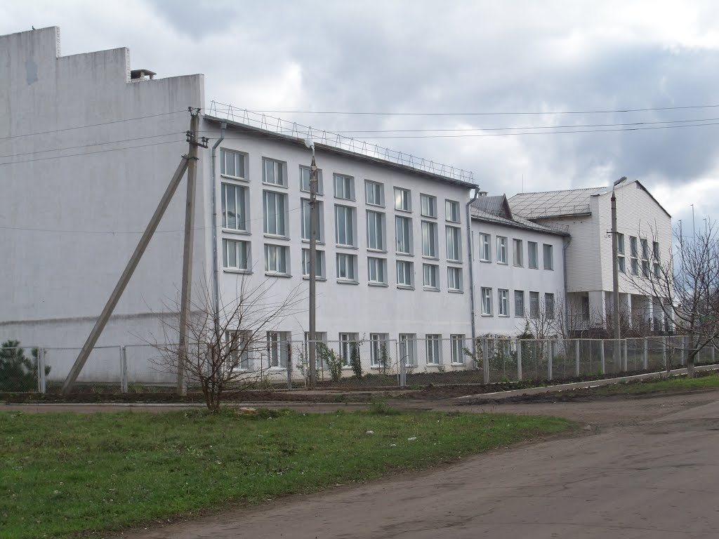 Школа, Казанка