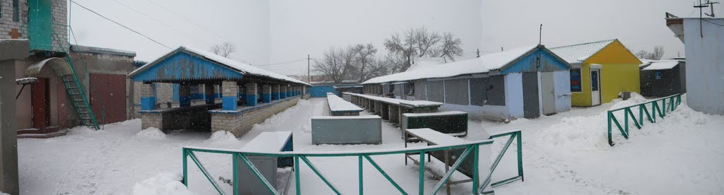 Понедельник выходной, снег засыпал рынок зимой, Снигиревка