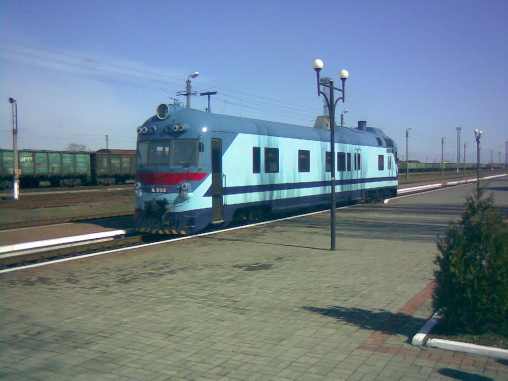 Элитный поезд ЖД работников (вид с боку), Снигиревка