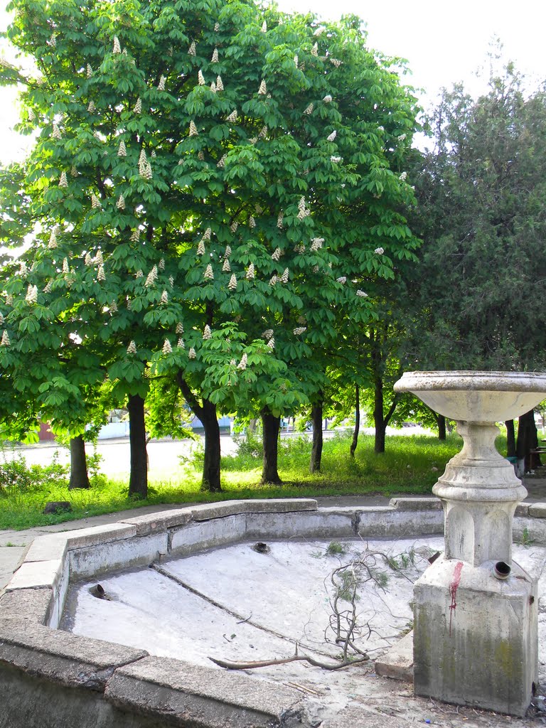 Старый фонтан рядом с цветущими каштанами, Снигиревка