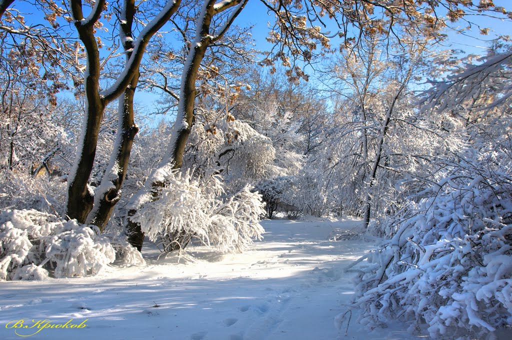 Зимний парк Мира. Peace Park in the winter., Аккерман