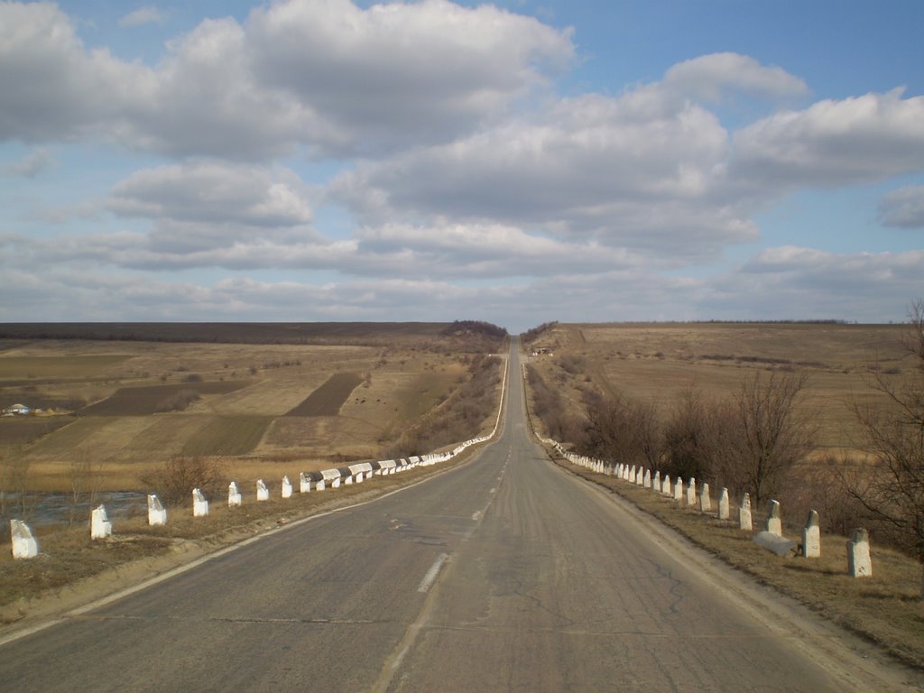 Одесская область. Трасса Кишинев-Полтава. / Odessa region. Route Kishinev - Poltava / 01_2008, Ананьев