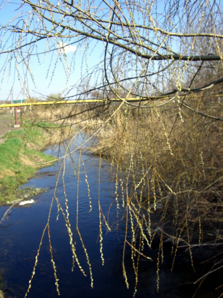 речка Кара -Балта (the small river Кара- Balta ), Балта