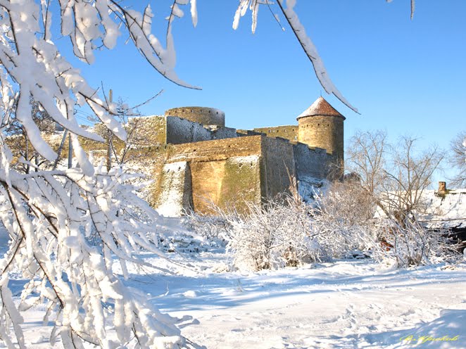 Февральская крепость 2010 г., Белгород-Днестровский