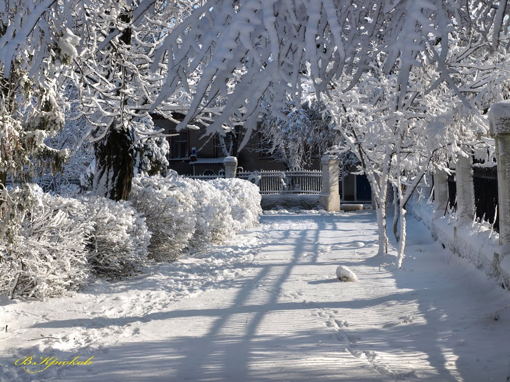 Серебро зимы. Silver winter., Белгород-Днестровский