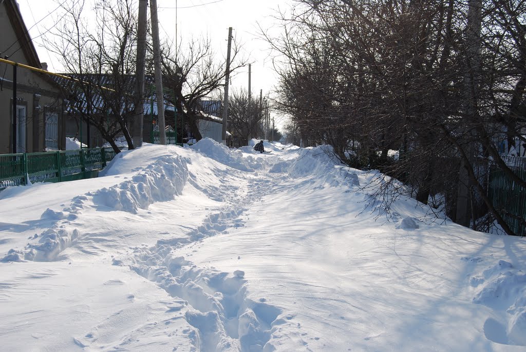 Зима 2009, Беляевка