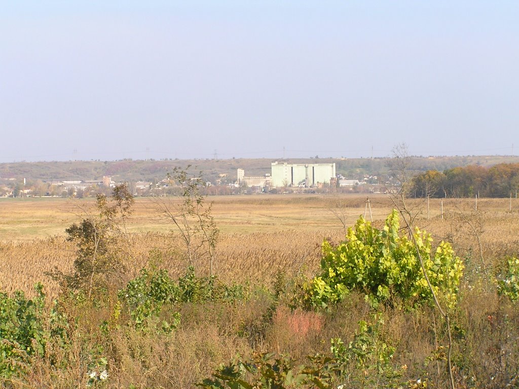 Вид на Березовский элеватор с противополжного берега Тилигула., Березовка
