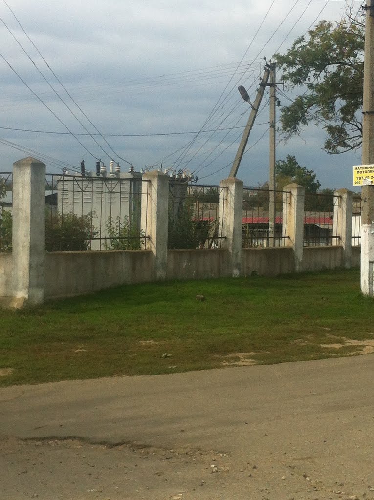 Забор воскресного базара, Березовка