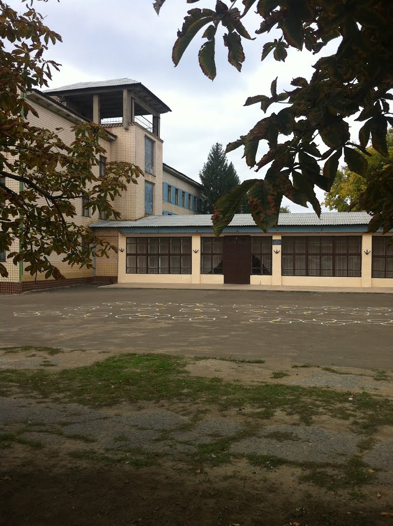 Общеобразовательная школа №3 в Березовке, Березовка