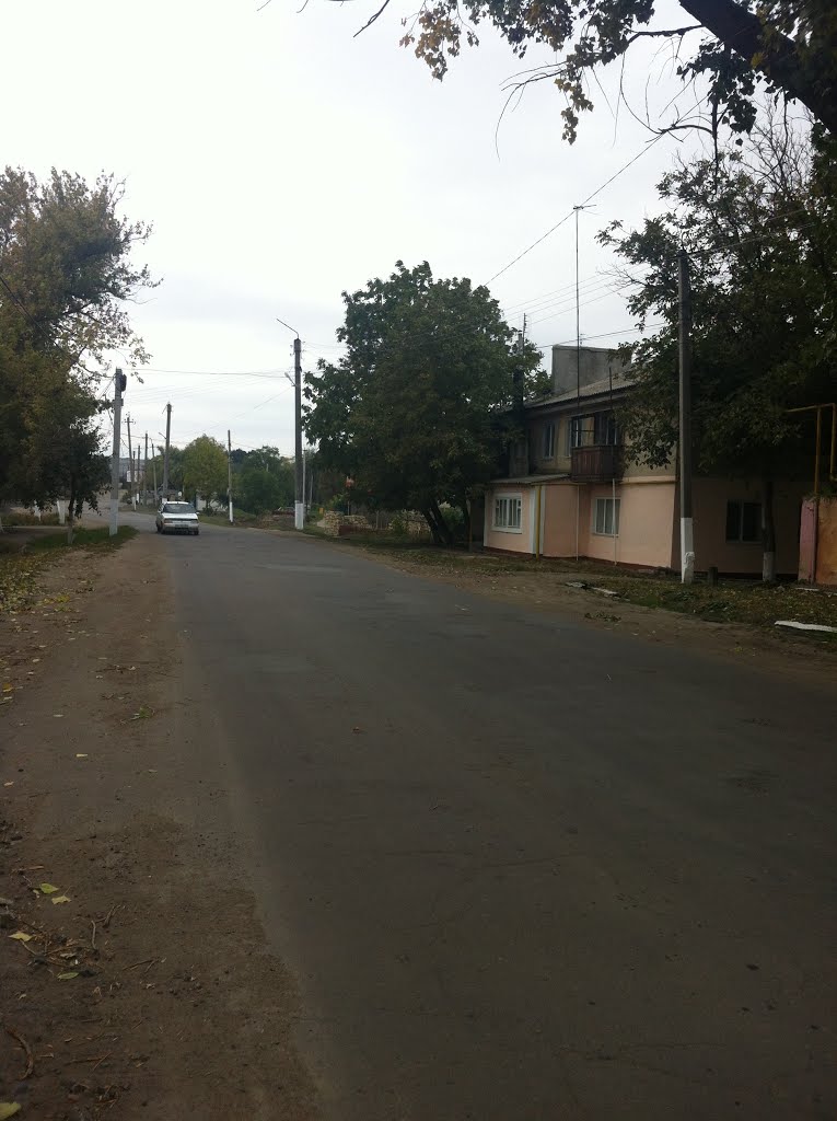 Улица Перемоги, Березовка