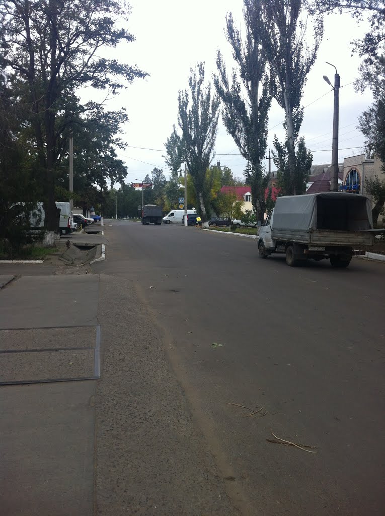Дорога в центре города, Березовка