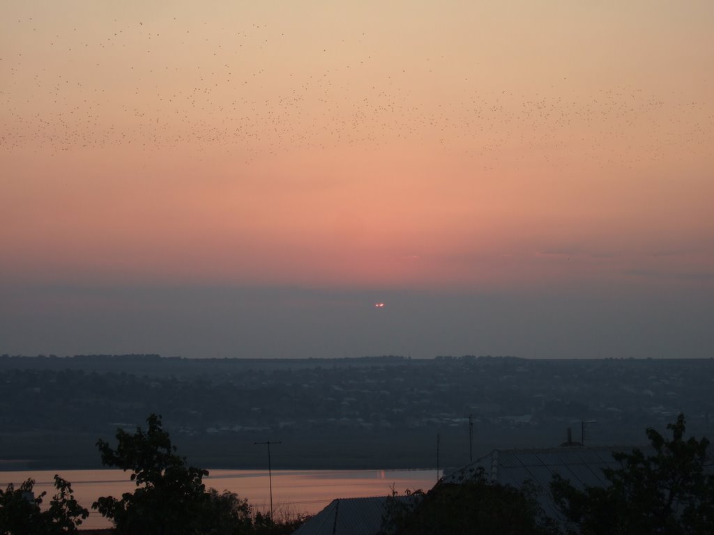 birds and sunset, Болград