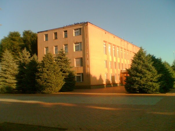 районная администрация, Великая Михайловка