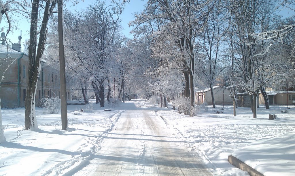 Городок зимой 10, Великодолининское