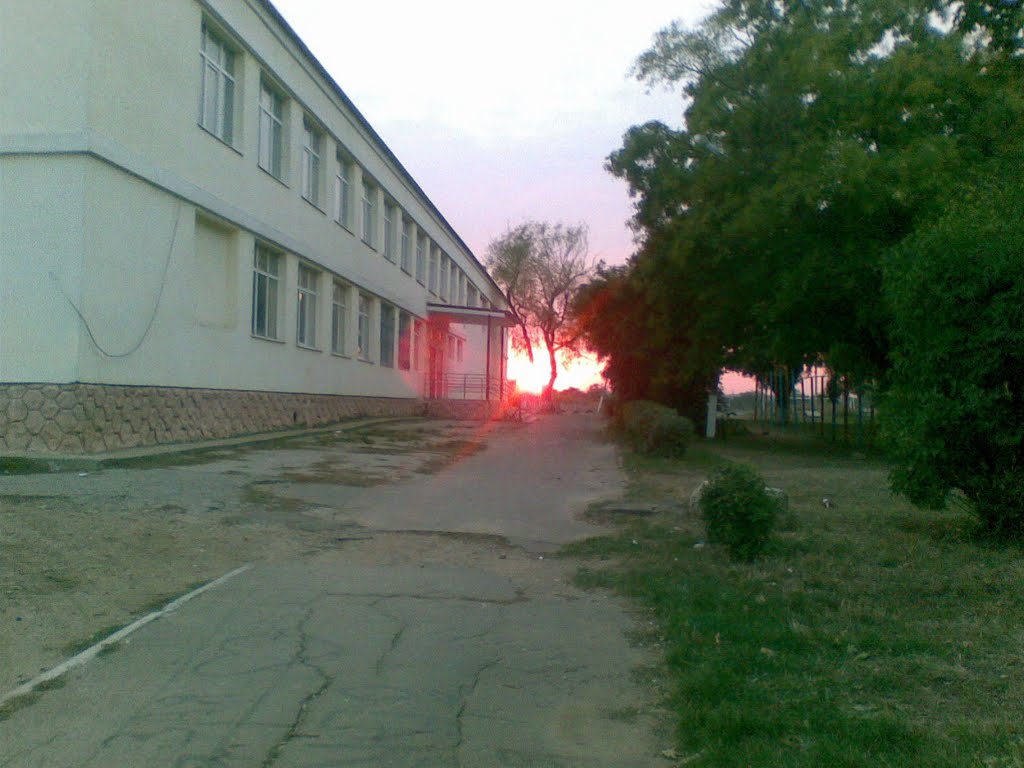 школа №1, Великодолининское