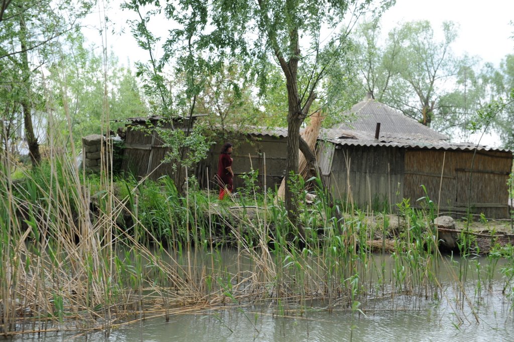 Вилково, Вилково