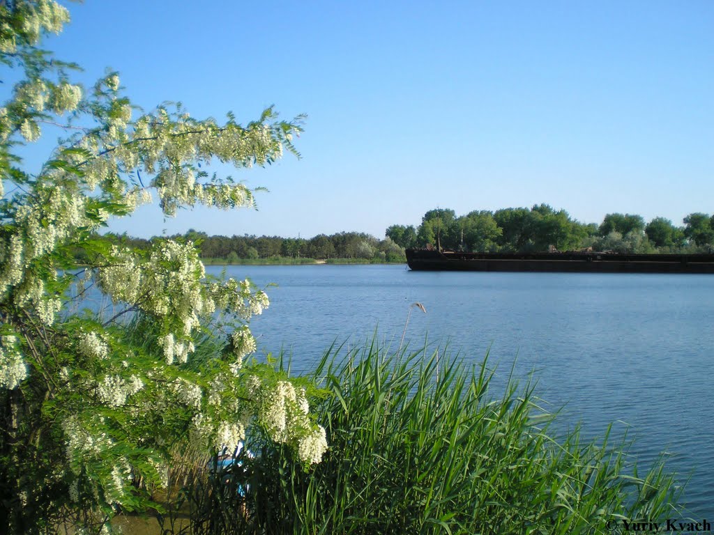 Buzunchuk Bay, Danube River, Вилково