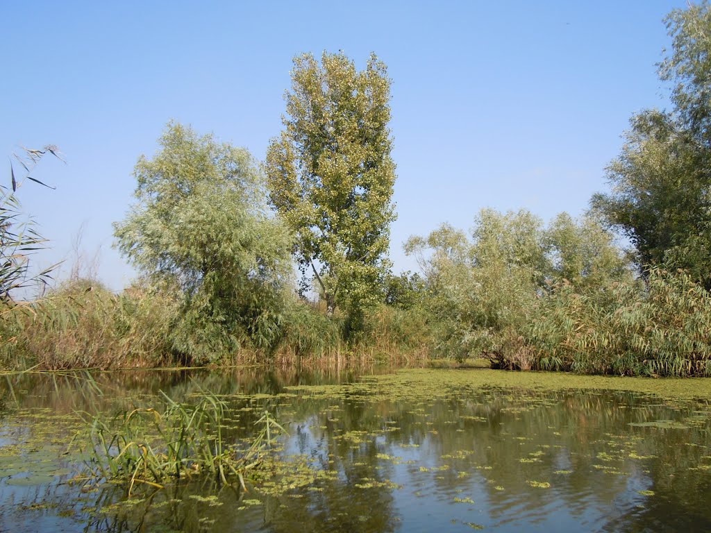 A canal in Vilkove, Ukraine, Вилково