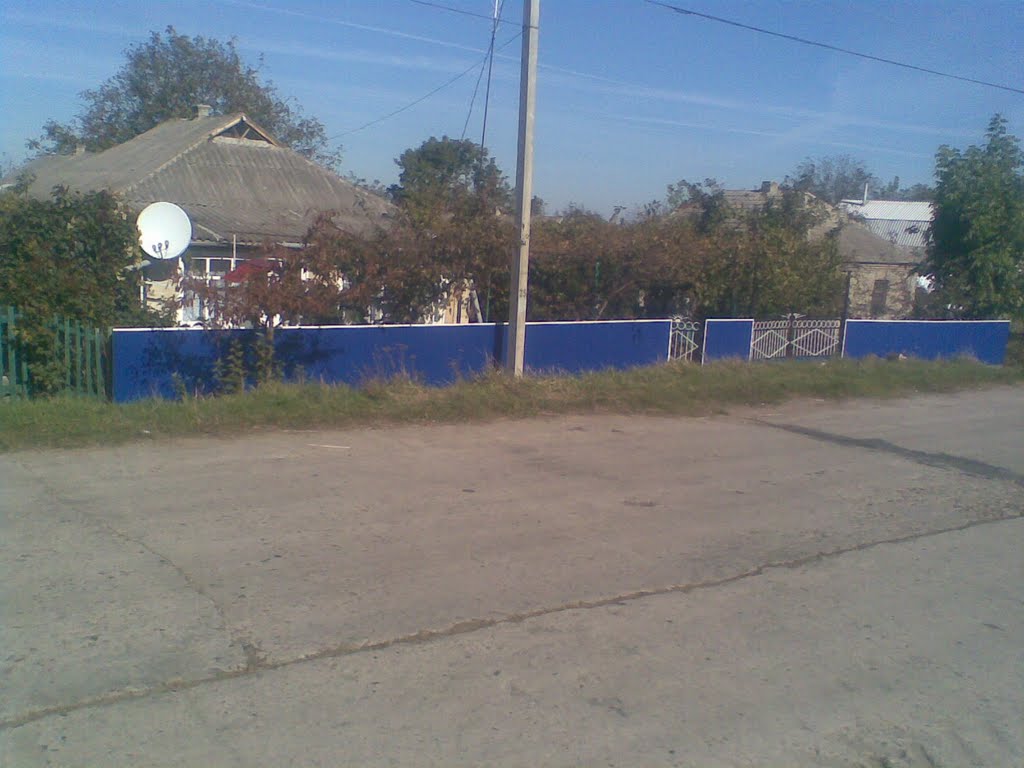Синий Забор, Кодыма