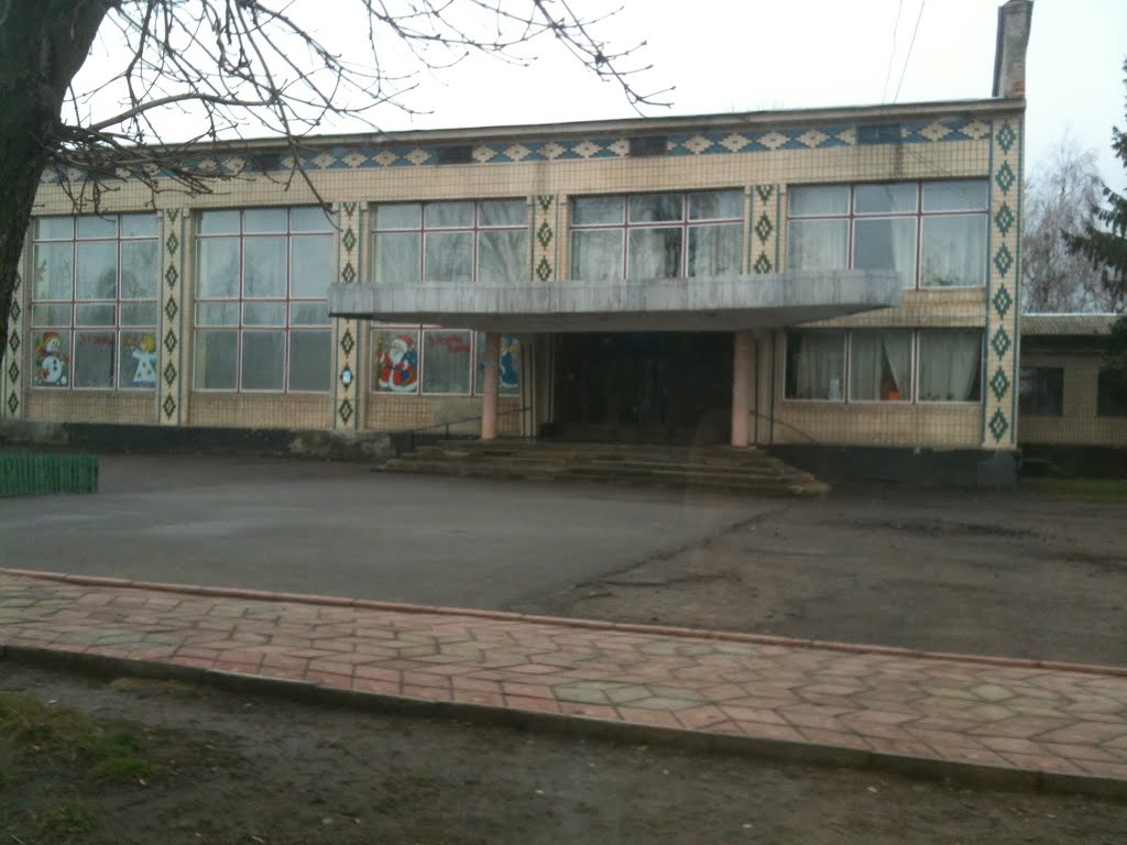 Дом культуры, Любашевка