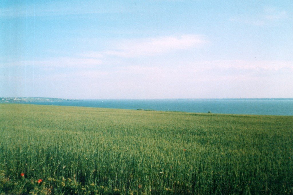 A view of Dnestrovsky estuary, Овидиополь