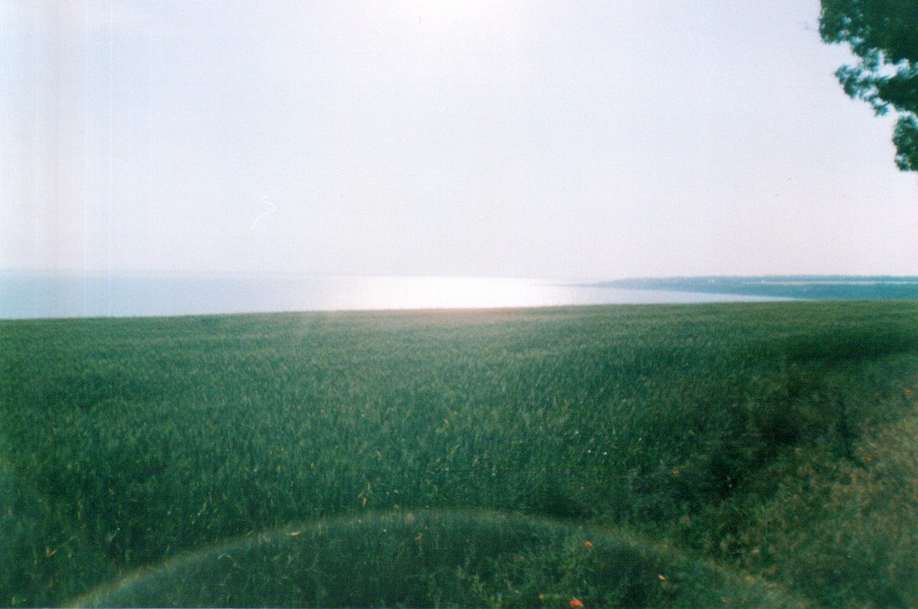 A view of Dnestrovsky estuary (to the north), Овидиополь