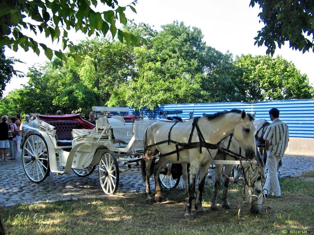 The carriage. Odessa. Ukraine, Одесса