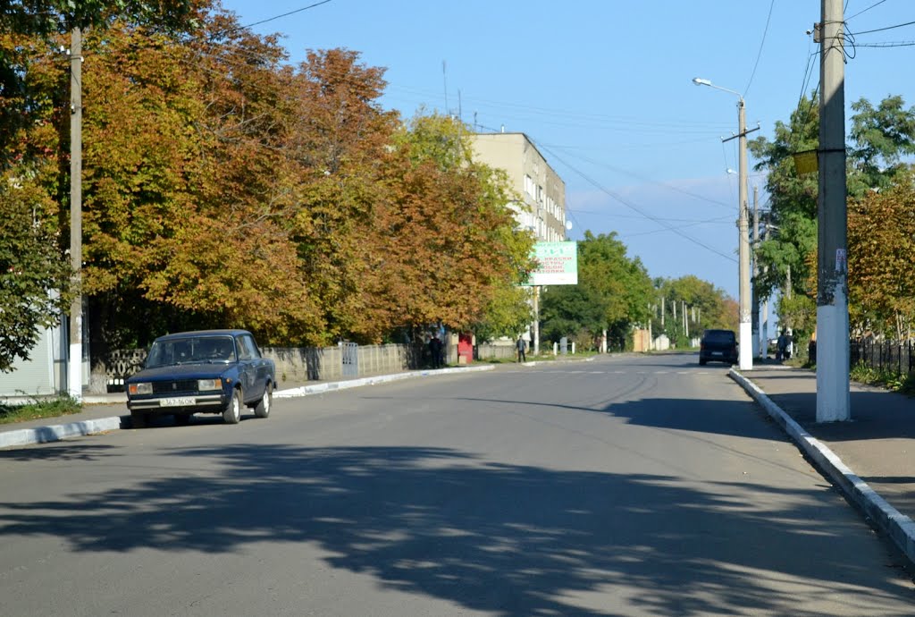 Леніна вулиця, поліклініка/Lenin street - 20131006, Раздельная