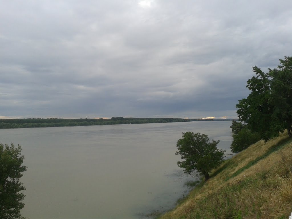 Danube., Рени