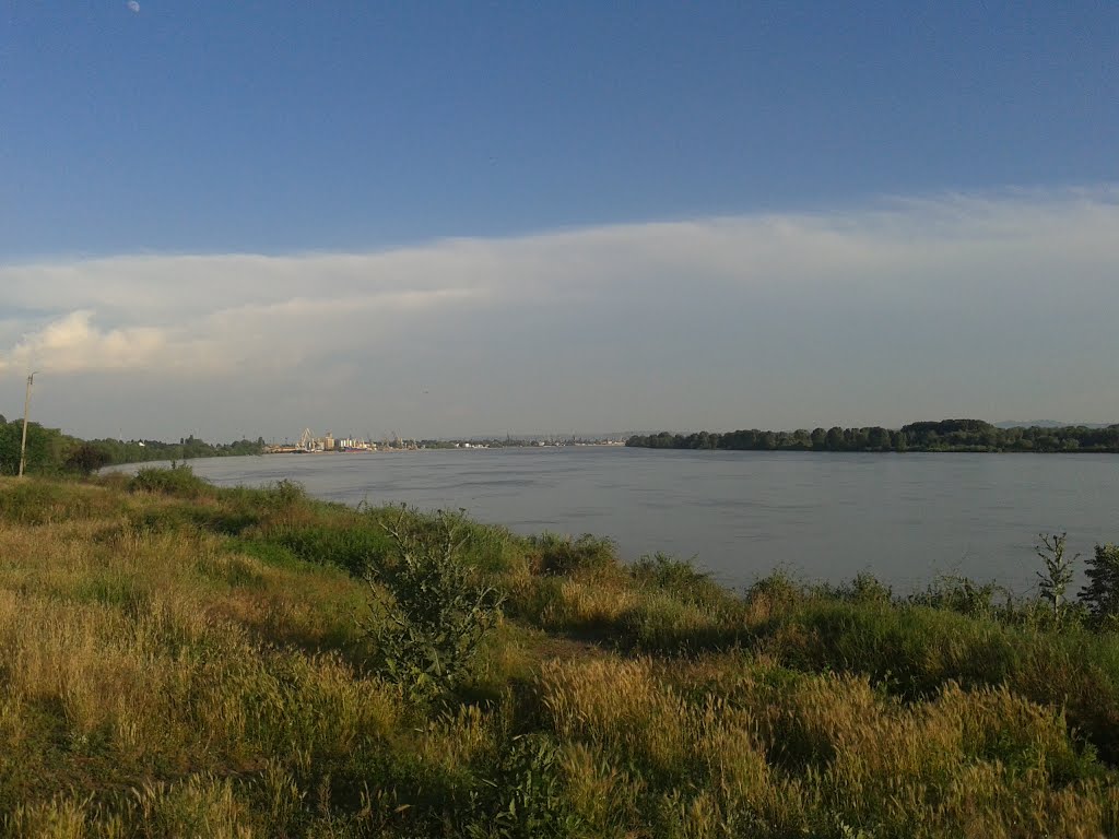 Danube, Рени
