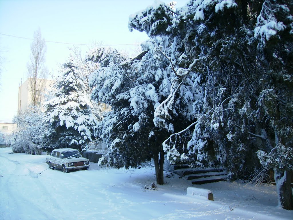 Зима 3, Татарбунары